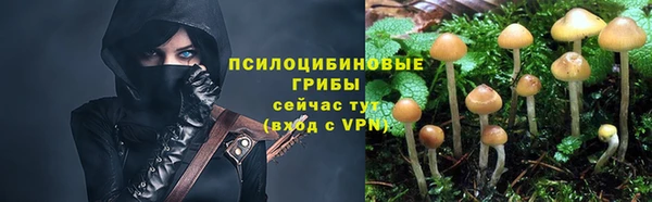 амф Алзамай