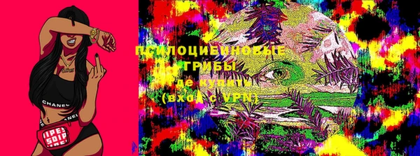 амф Алзамай